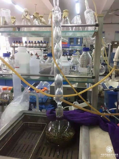 吉林柳河縣 以葡聚糖大米技術(shù)開(kāi)發(fā)引領(lǐng)農(nóng)業(yè)升級(jí)，推動(dòng)農(nóng)民持續(xù)增收