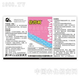 施普樂(lè)速白美齒組 6天連續(xù)使用，科技點(diǎn)亮美白笑容